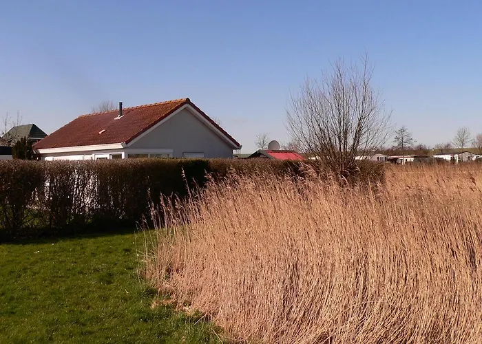 Vakantiehuis Noord-Beveland, Samen Met De Hond